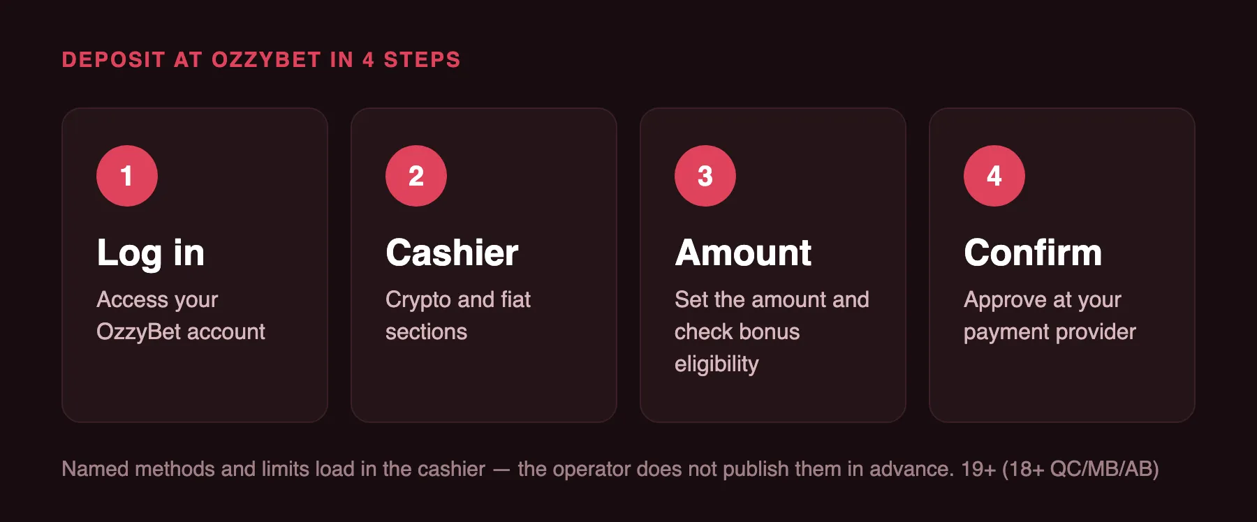 Deposit at OzzyBet in 4 steps: log in